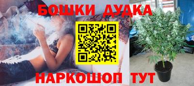 спиды Сланцы